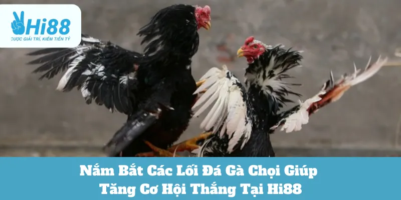 lối đá gà chọi