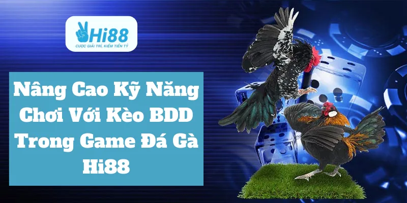 kèo BDD