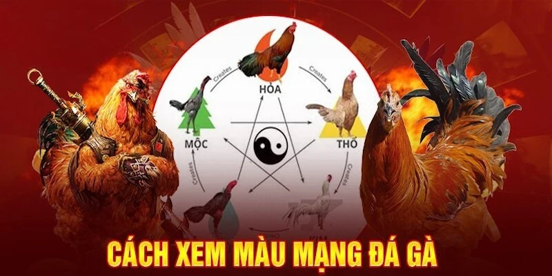 Màu Mạng Gà Đá Ở Trong Game Chọi Gà Hi88