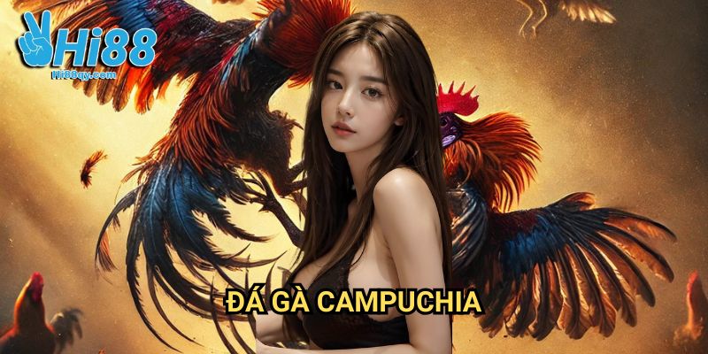 Đá gà Campuchia Hi88: Đấu Trường Gà Huyền Thoại Đông Nam Á