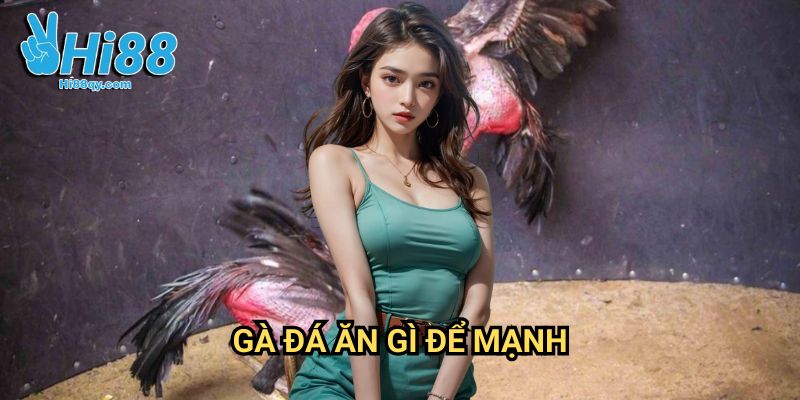 Gà đá ăn gì để mạnh Hi88: Thực Đơn Vàng Cho Chiến Kê Vô Địch