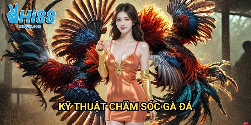 Kỹ thuật chăm sóc gà đá Hi88: Bí Quyết Nuôi Gà Chiến Thắng